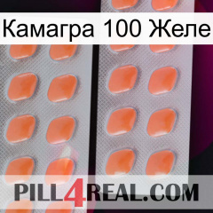 Камагра 100 Желе 27